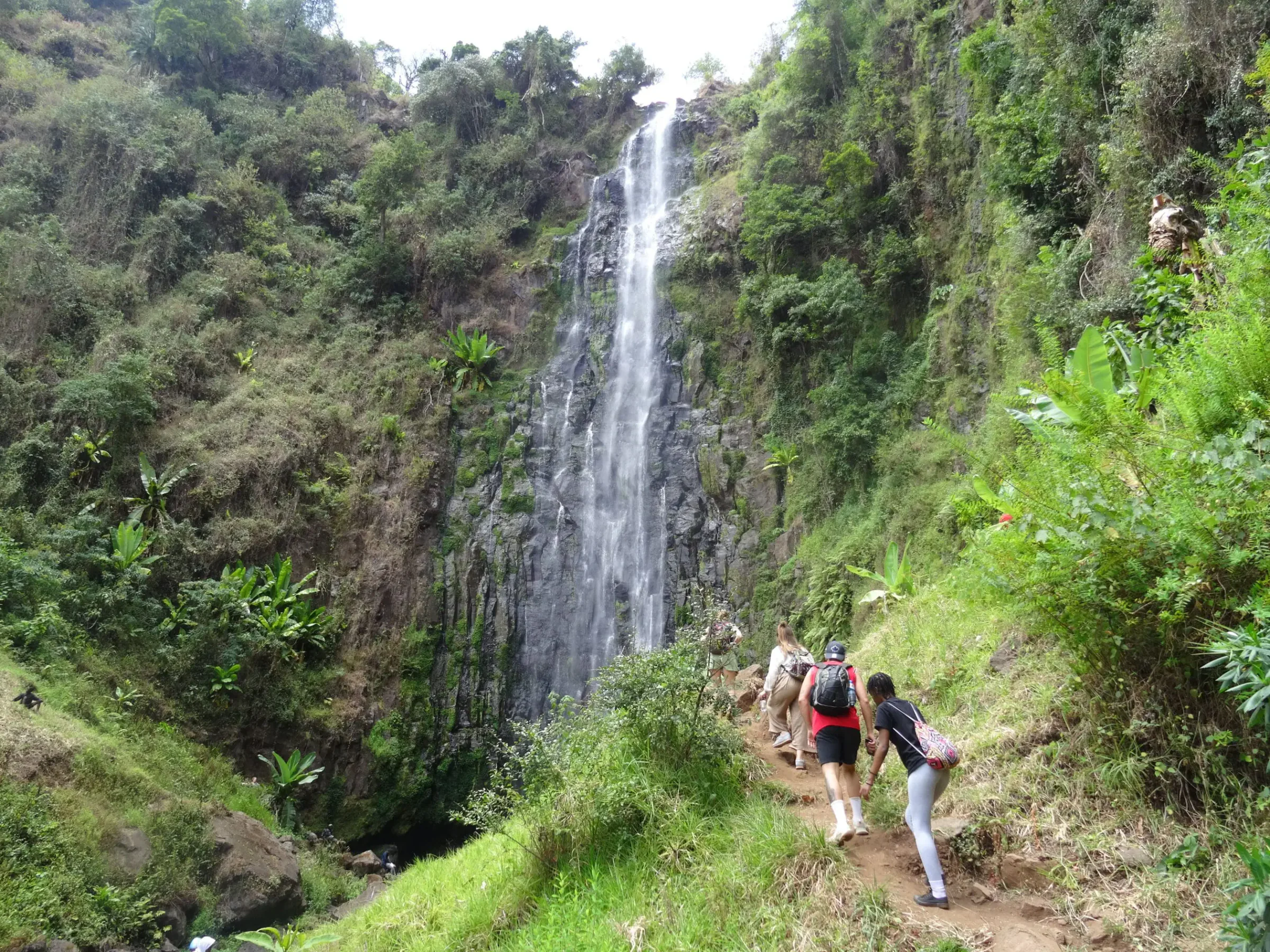 Materuni Waterfalls & Coffee Tour