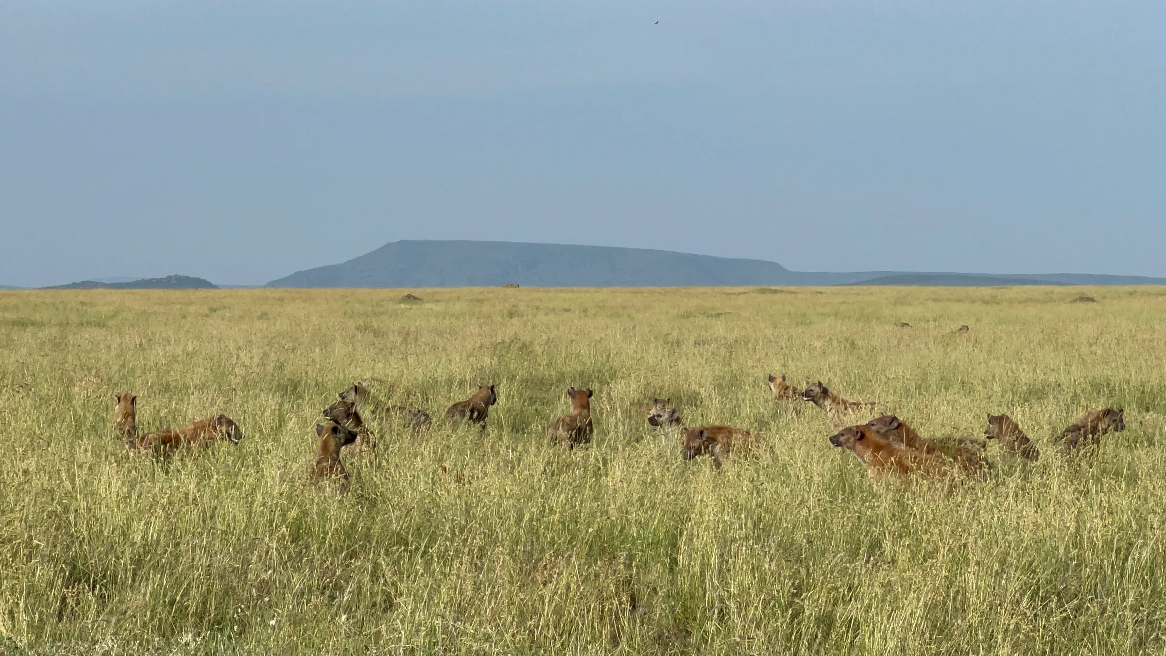 14-Day Grand Tanzania Circuit